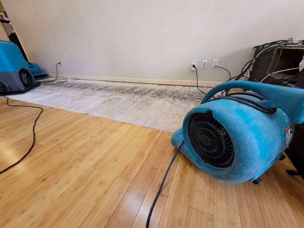 Professional Sewage Cleanup technician working in Dover Foxcroft, ME